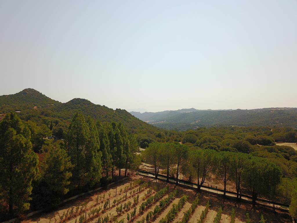 Residence Villa Smeralda Telti Dış mekan fotoğraf