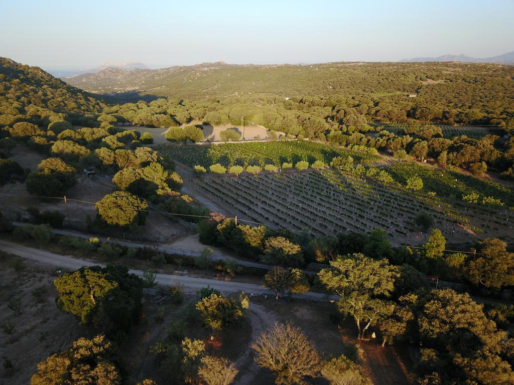 Residence Villa Smeralda Telti Dış mekan fotoğraf